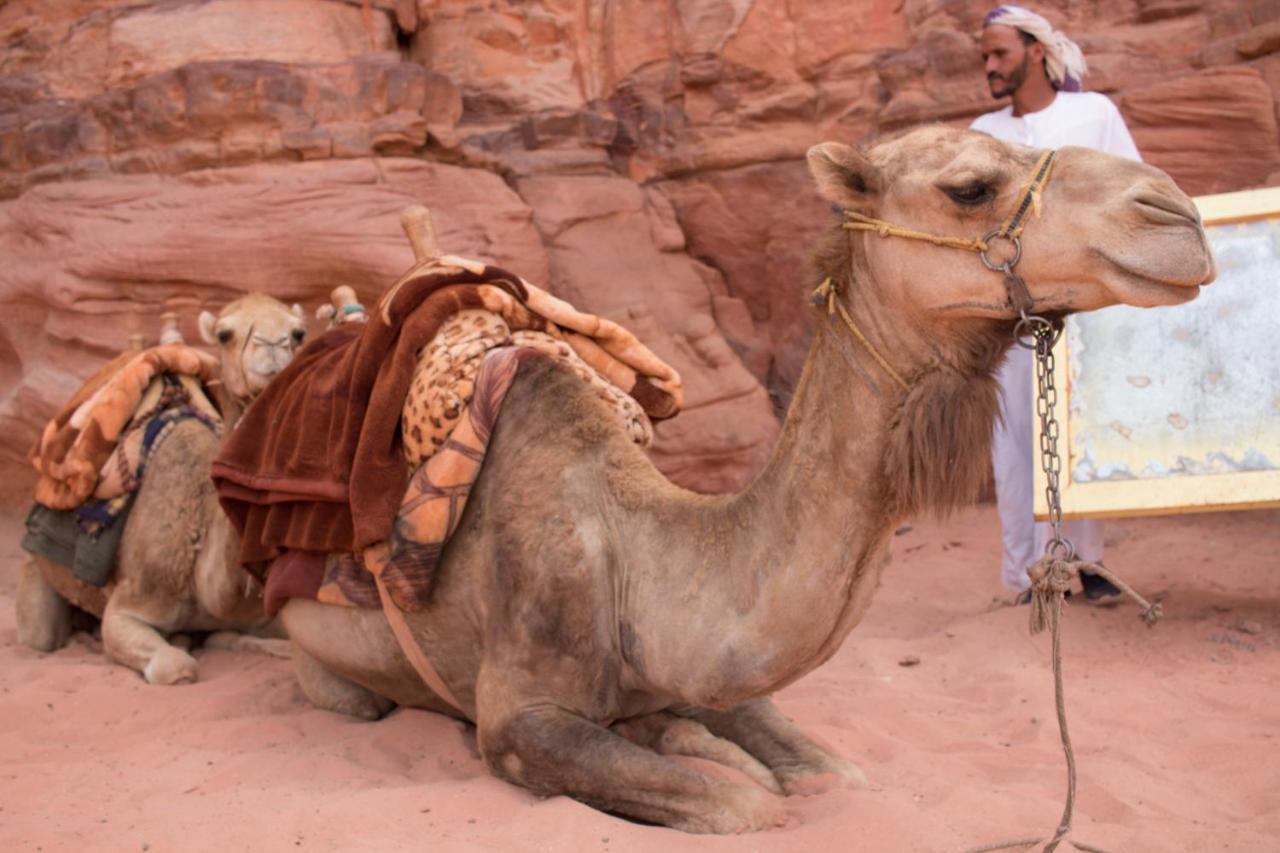 Wadi Rum Desert Home Exterior photo