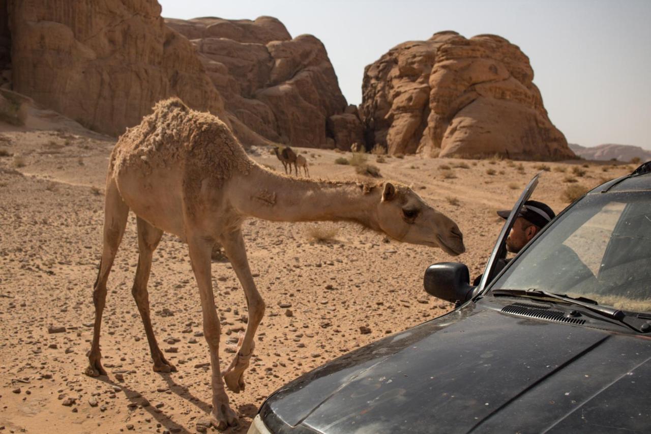 Wadi Rum Desert Home Exterior photo